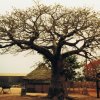 La cité Mermoz à Dakar en 1987